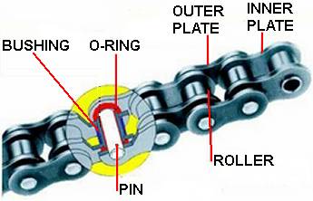O-ring chain