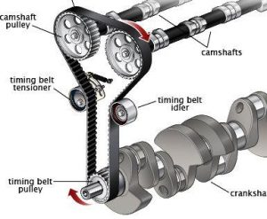 Toyota Camary Timing Belt Diagram