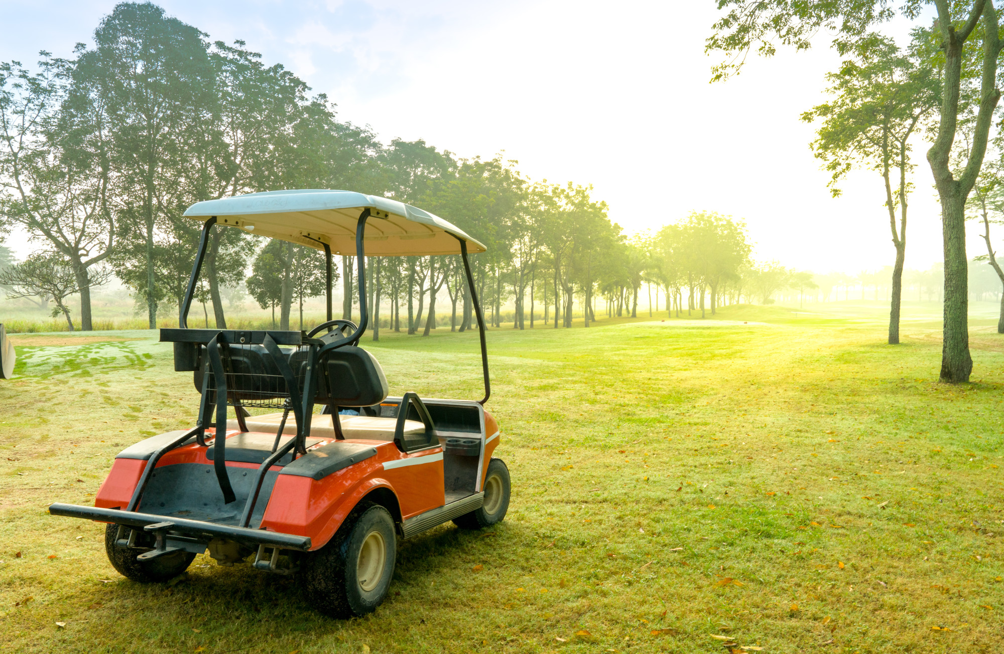 golf cart on course