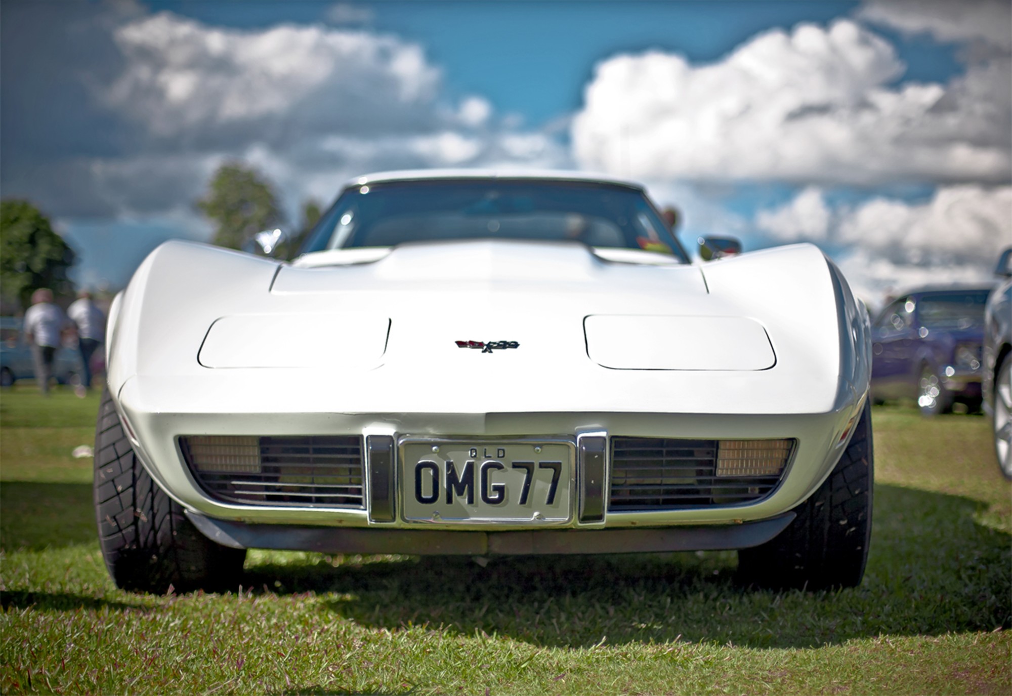 corvette muscle car