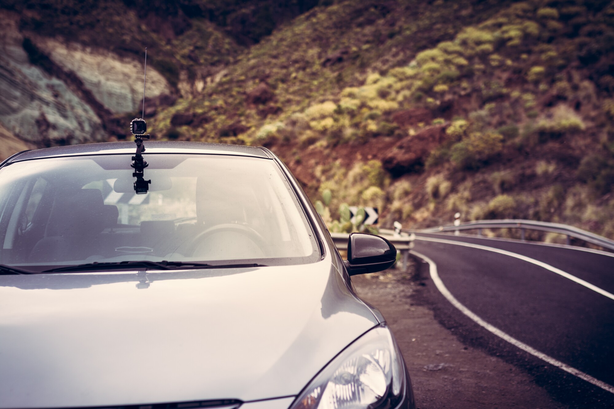 Vehicle Cameras