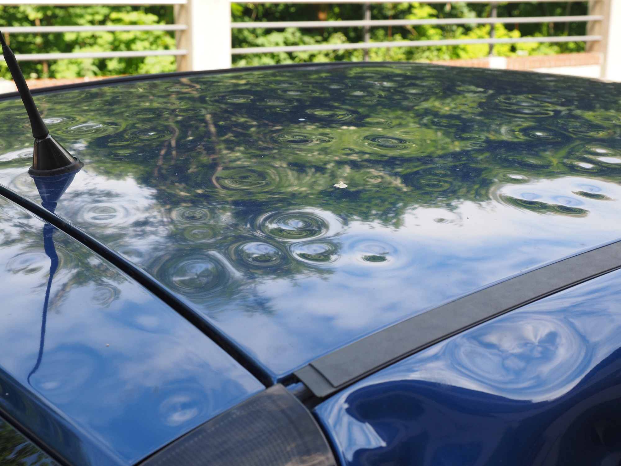 Hail Damage on Your Car